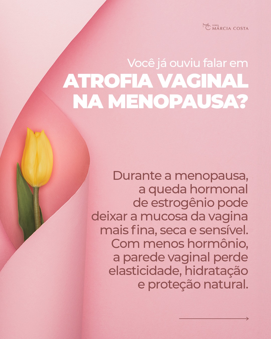 Você já ouviu falar em atrofia vaginal na menopausa?